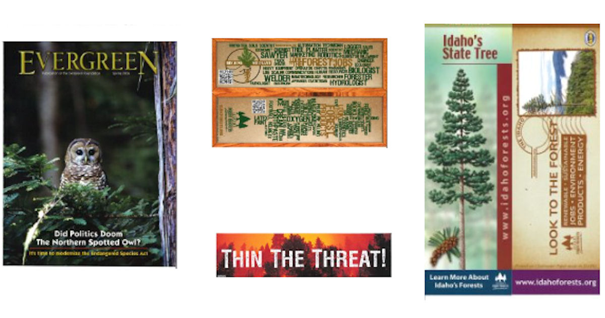 Idaho Forests