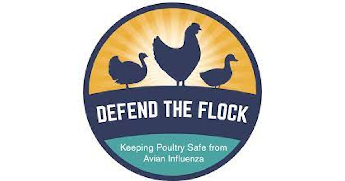 Usda Defend the Flock Magnet