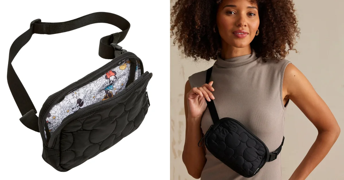 vera bradley disney bag