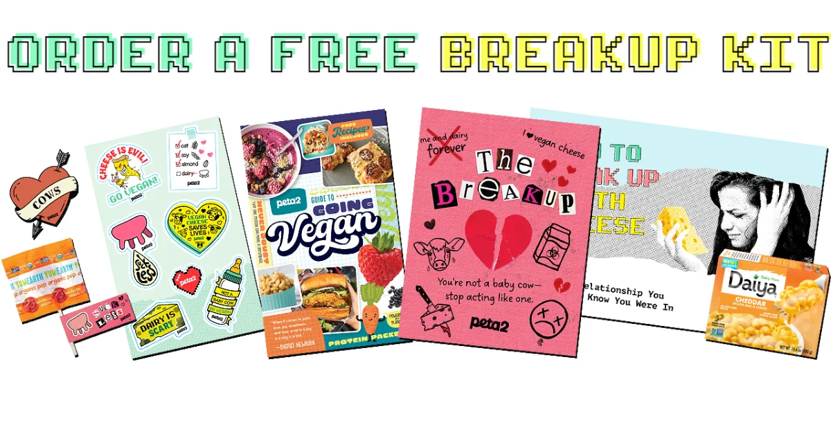 Peta Breakup Survival Kit