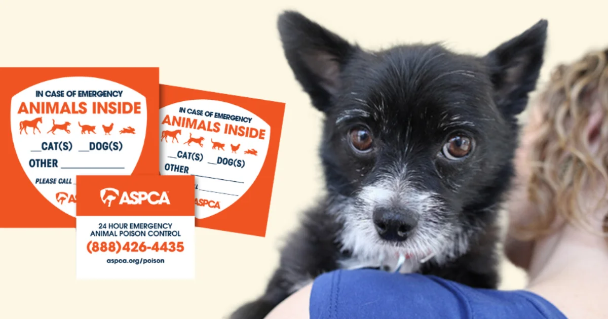 ASPCA Pet Safety Pack